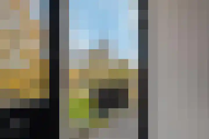 Orchideestraat 2 C Spijkenisse thumbnail 18