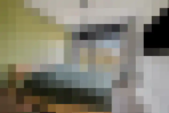 Orchideestraat 2 C Spijkenisse thumbnail 20