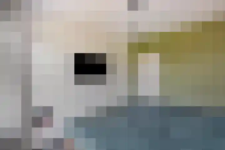 Orchideestraat 2 C Spijkenisse thumbnail 22