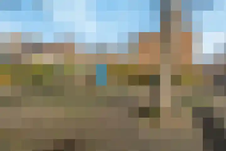 Orchideestraat 2 C Spijkenisse thumbnail 27