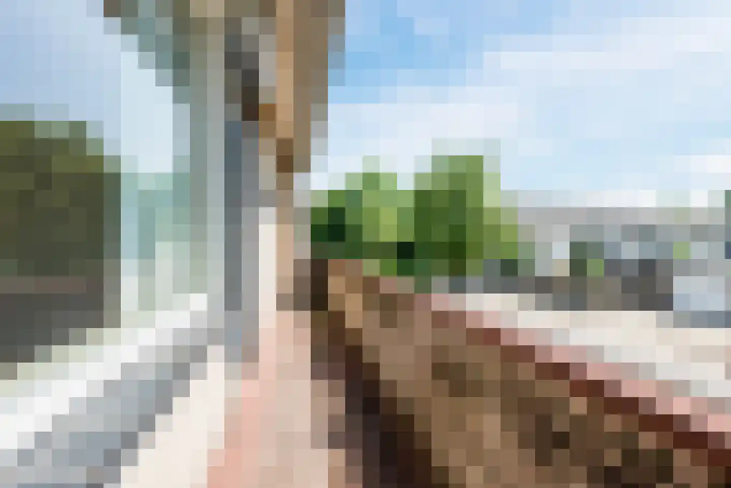 Orchideestraat 2 Leende thumbnail 30
