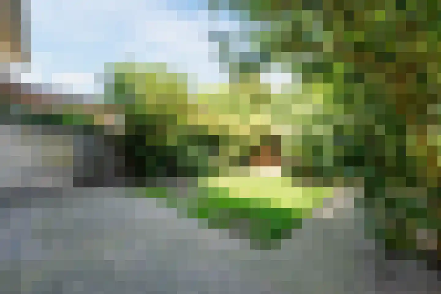 Orchideestraat 2 Leende thumbnail 32