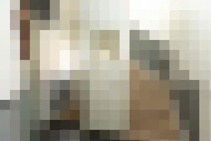 Orchideestraat 21 Hilversum thumbnail 12