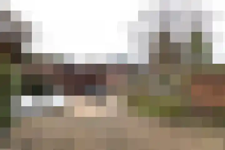 Orchideestraat 21 Hilversum thumbnail 29