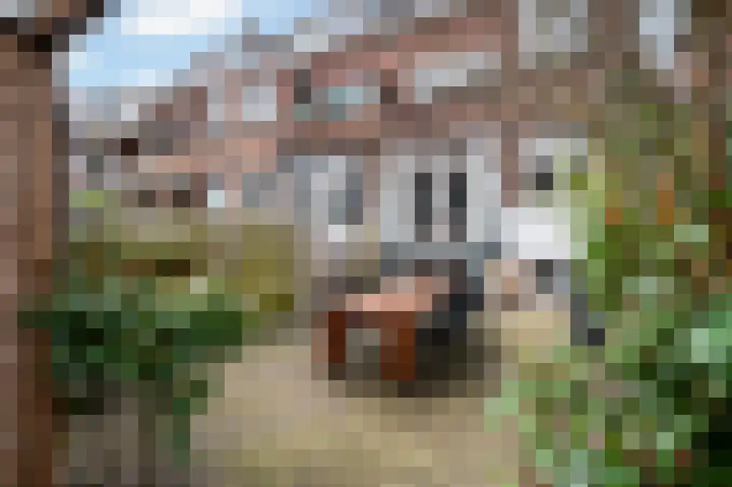 Orchideestraat 24 A Rotterdam thumbnail 30