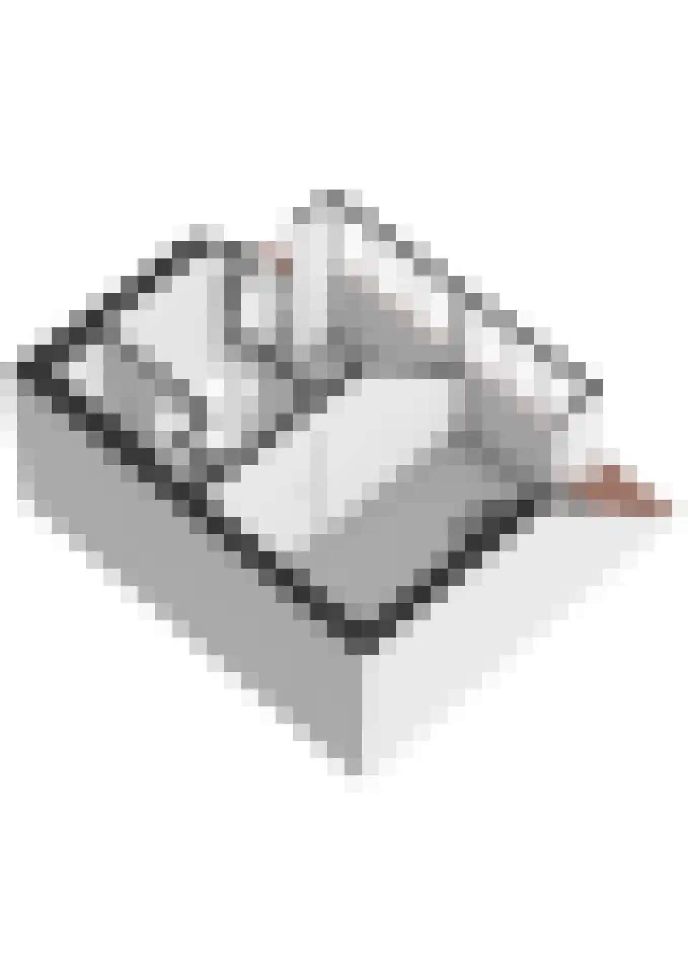 Orchideestraat 24 A Rotterdam thumbnail 59