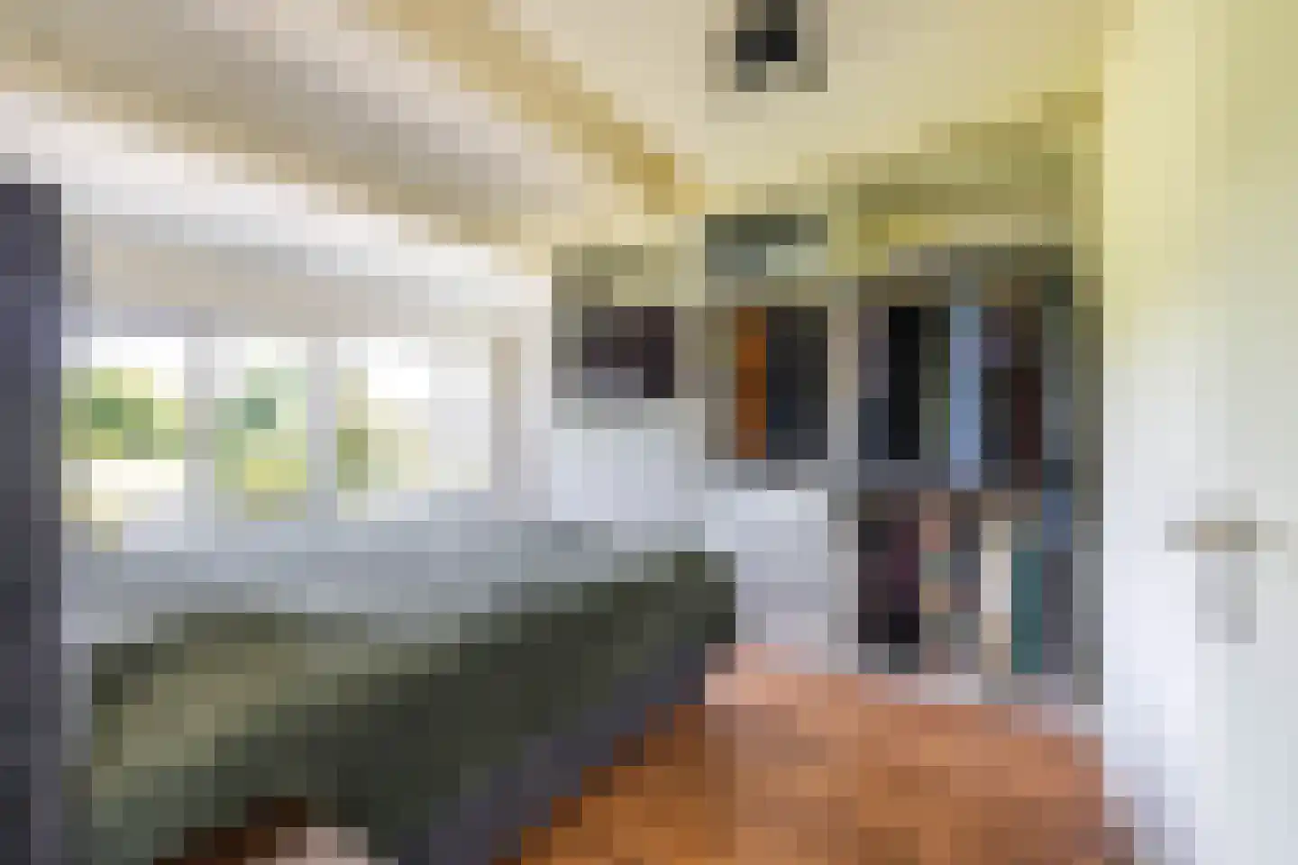 Orchideestraat 241 Groningen thumbnail 27