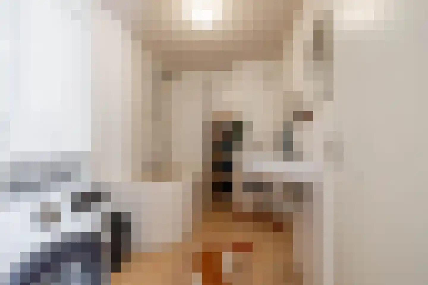 Orchideestraat 241 Groningen thumbnail 32