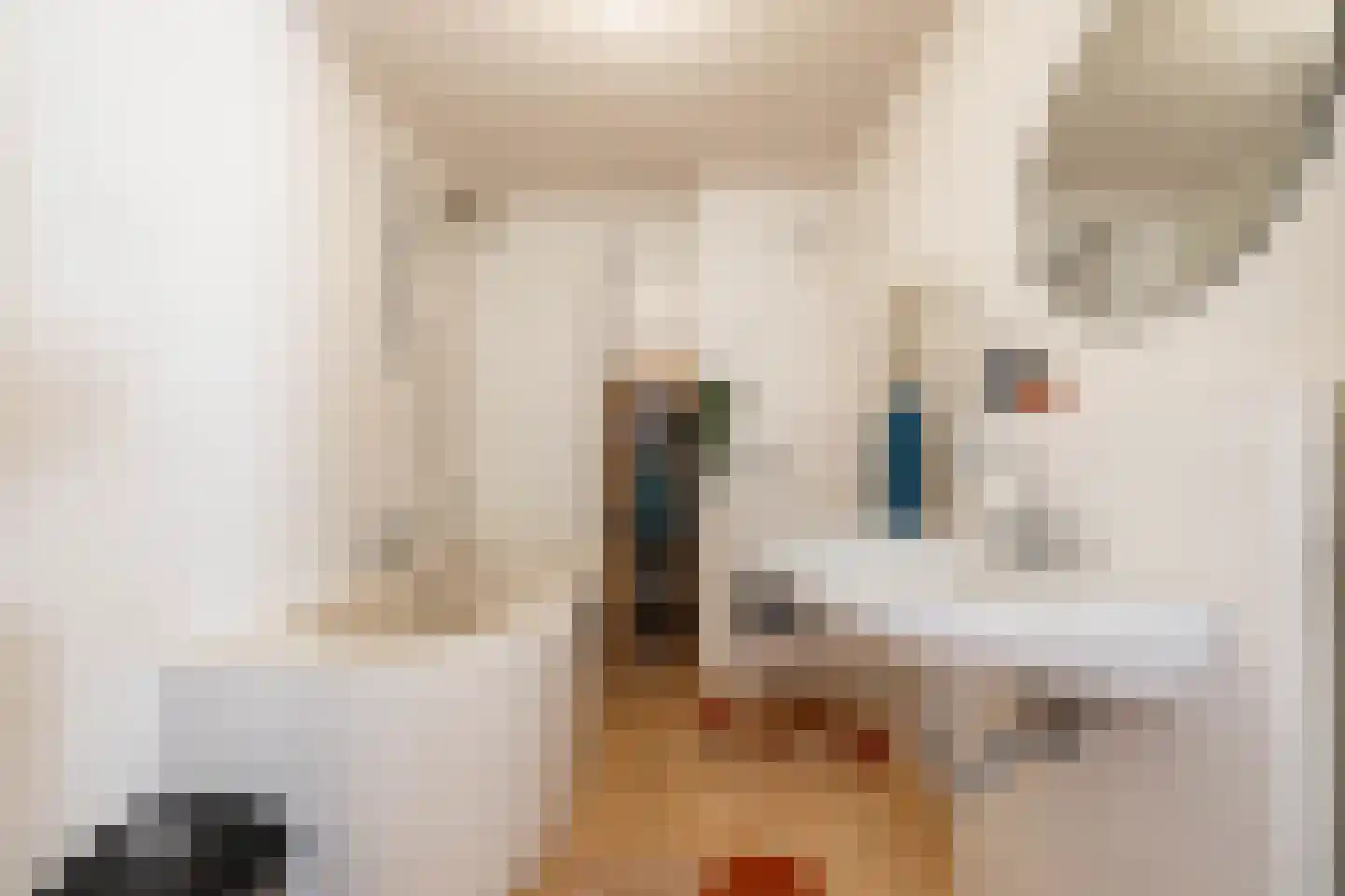 Orchideestraat 241 Groningen thumbnail 33