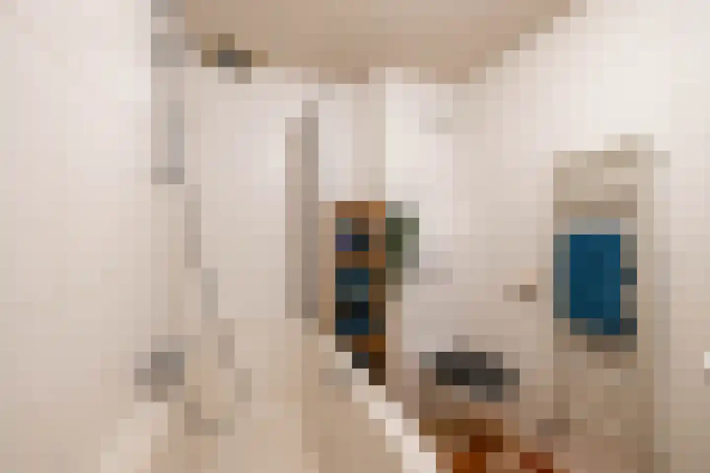 Orchideestraat 241 Groningen thumbnail 34