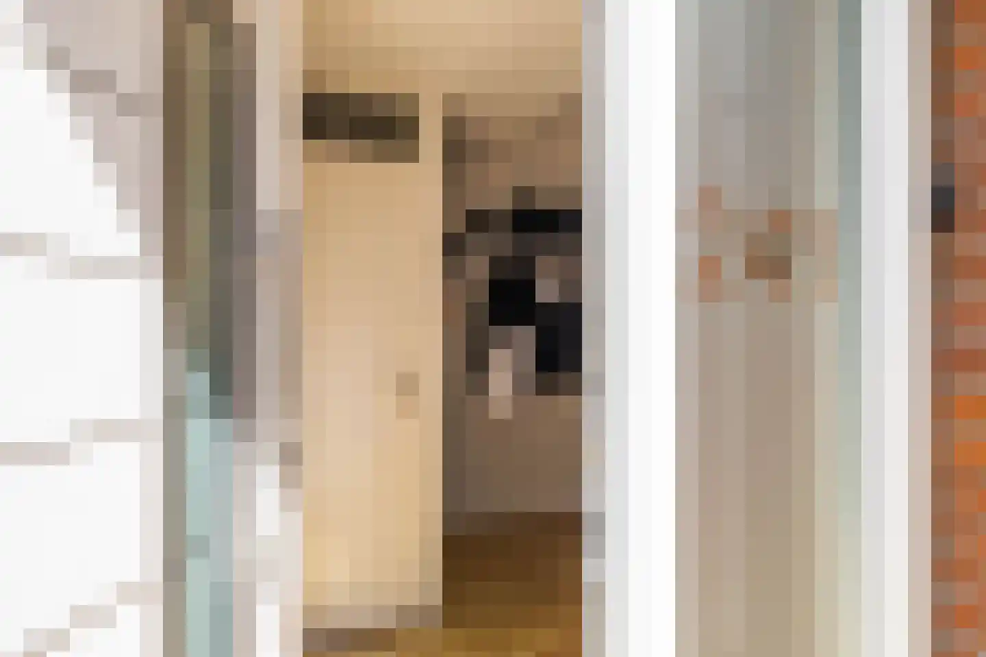 Orchideestraat 241 Groningen thumbnail 5