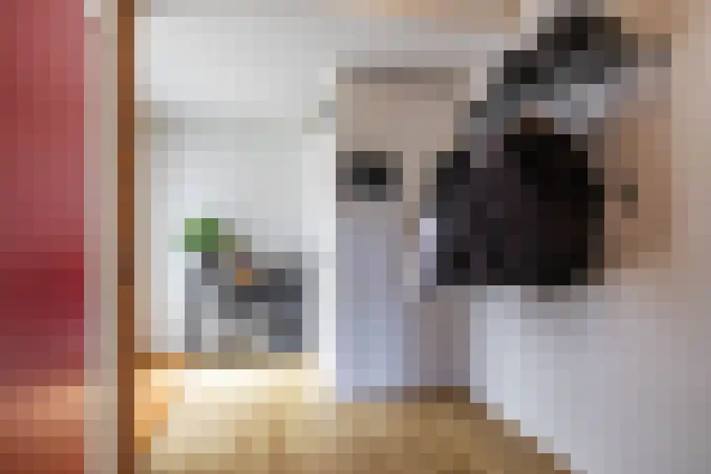 Orchideestraat 241 Groningen thumbnail 7