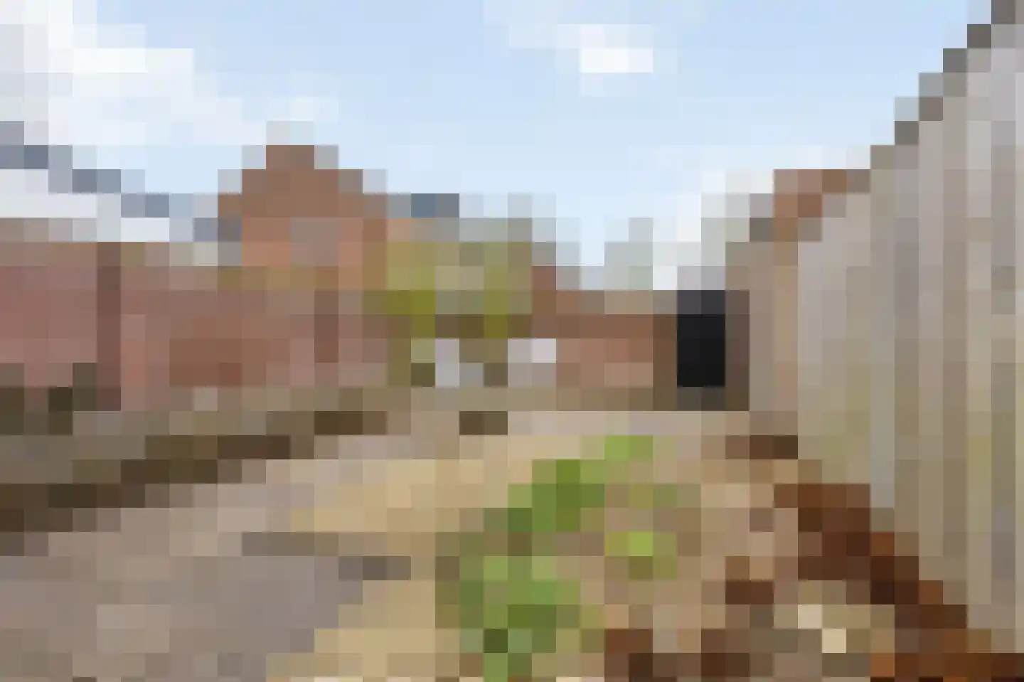 Orchideestraat 26 Weert thumbnail 33