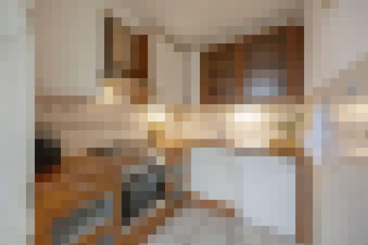 Orchideestraat 26 Weert thumbnail 4