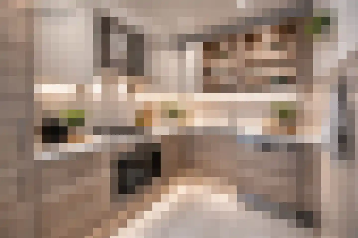 Orchideestraat 26 Weert thumbnail 5