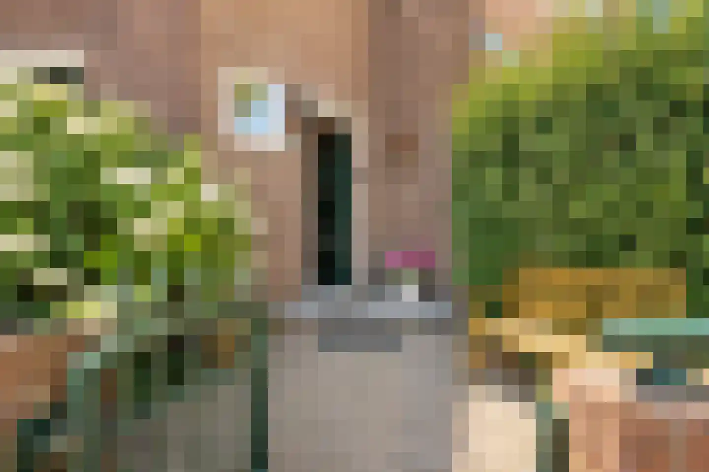 Orchideestraat 29 A Rotterdam thumbnail 5