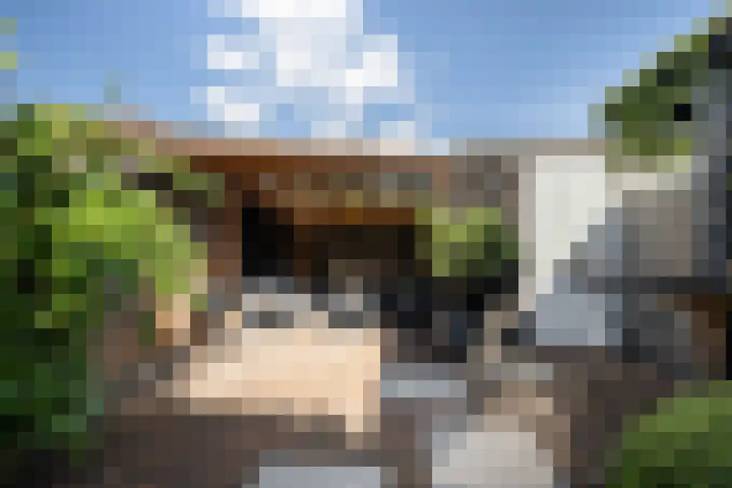Orchideestraat 3 Naaldwijk thumbnail 13