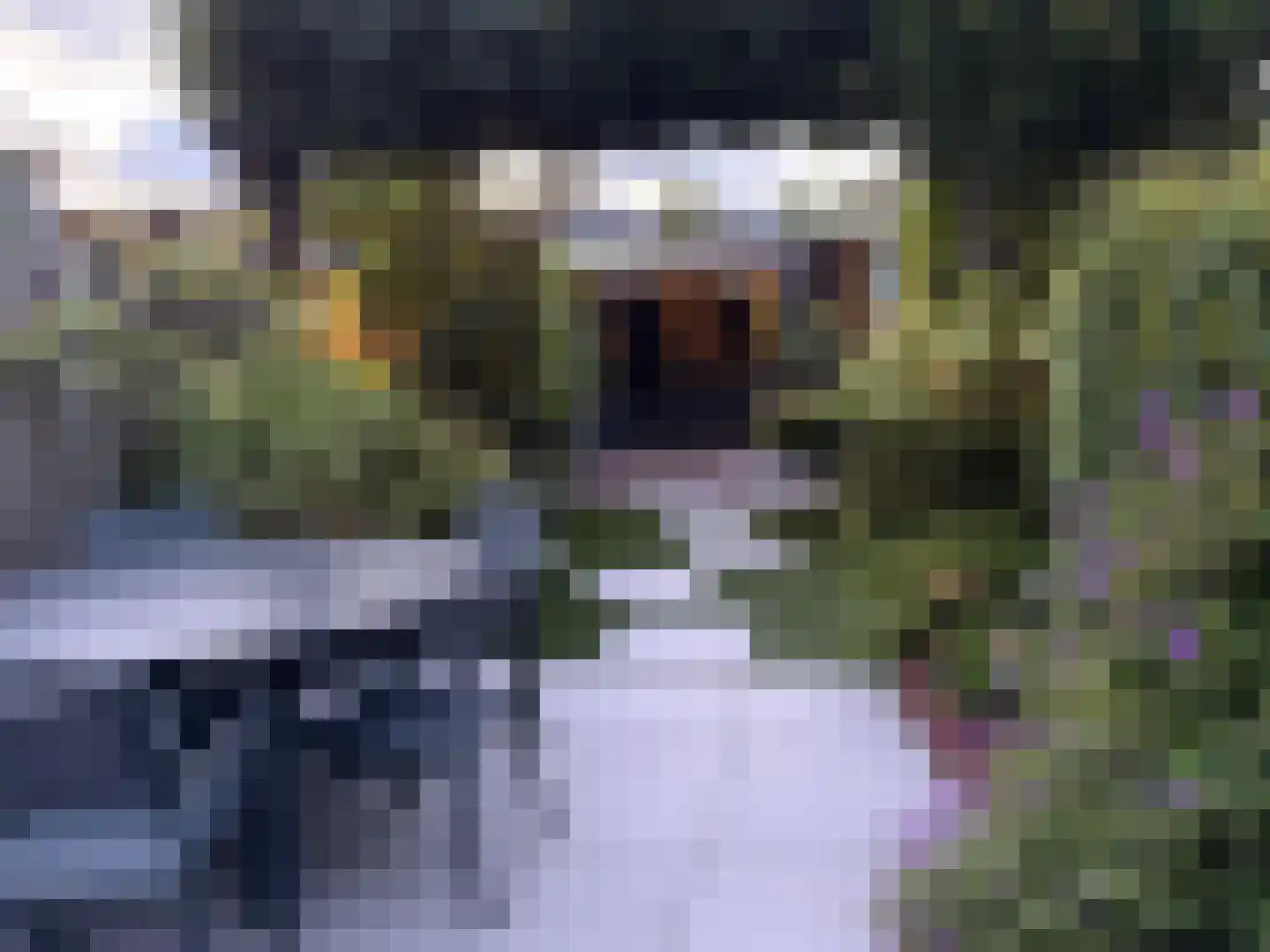 Orchideestraat 3 Naaldwijk thumbnail 15