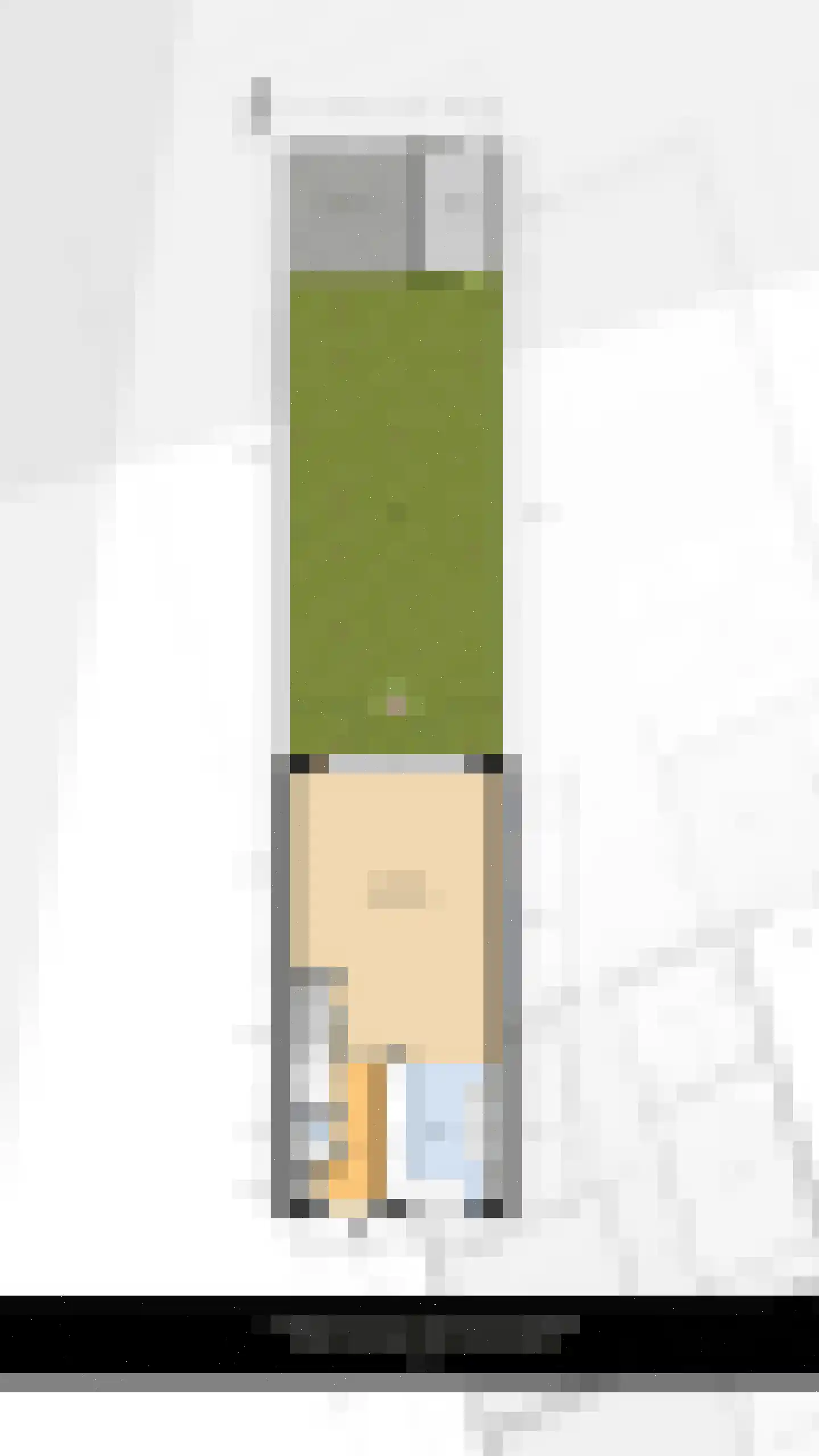 Orchideestraat 3 Naaldwijk thumbnail 34