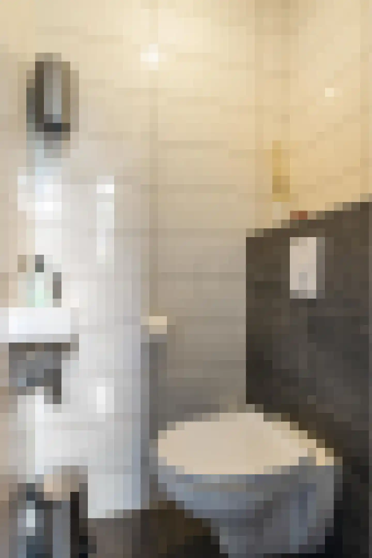Orchideestraat 38 Groningen thumbnail 14
