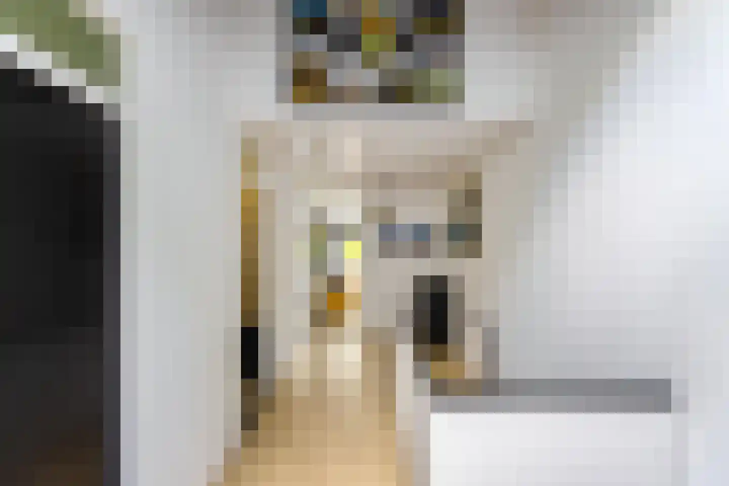 Orchideestraat 38 Groningen thumbnail 16