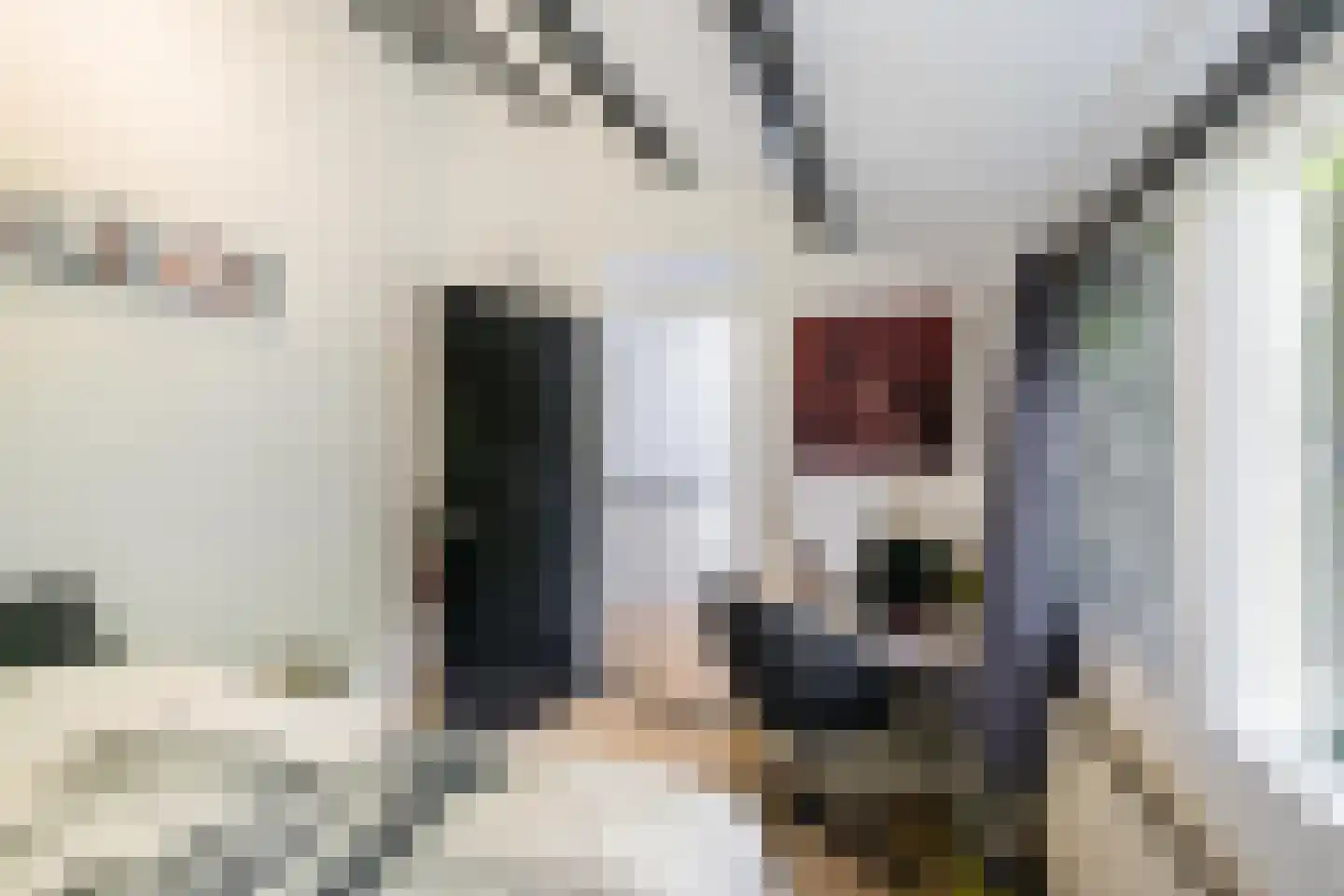Orchideestraat 38 Groningen thumbnail 20
