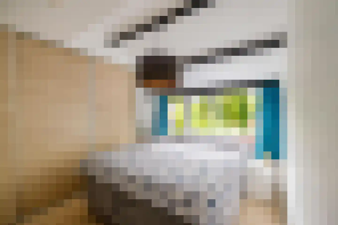 Orchideestraat 38 Groningen thumbnail 21