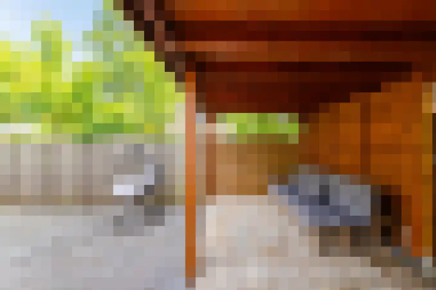 Orchideestraat 38 Groningen thumbnail 28