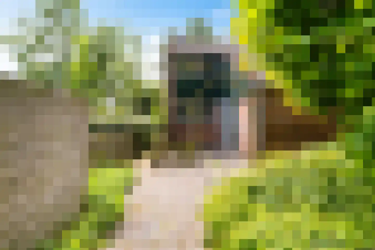 Orchideestraat 38 Groningen thumbnail 29