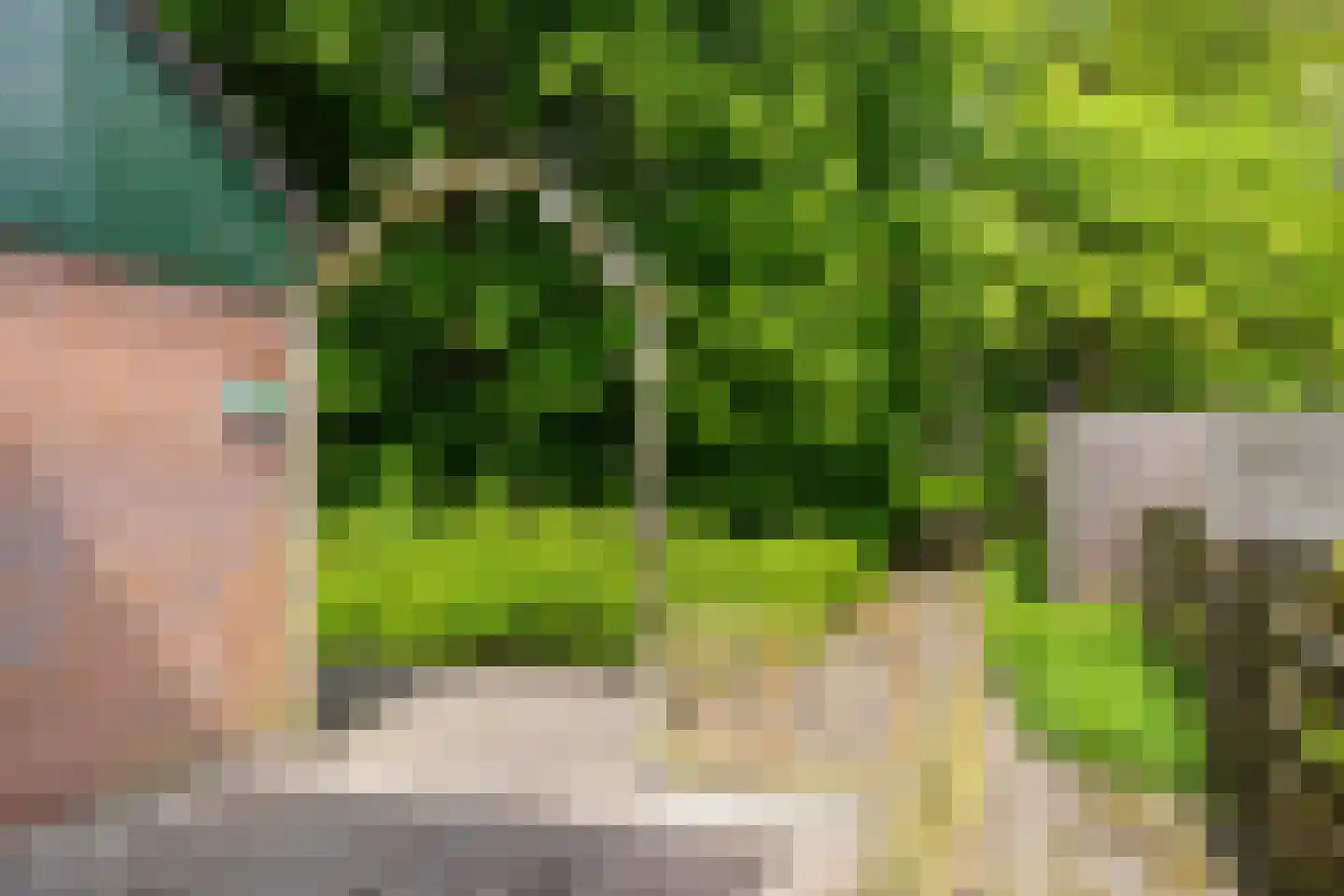 Orchideestraat 38 Groningen thumbnail 30