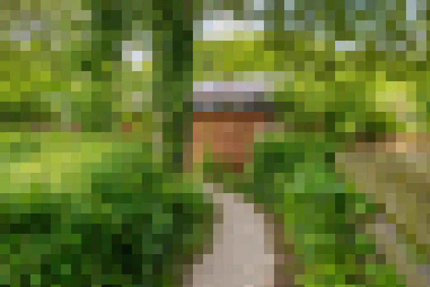 Orchideestraat 38 Groningen thumbnail 31