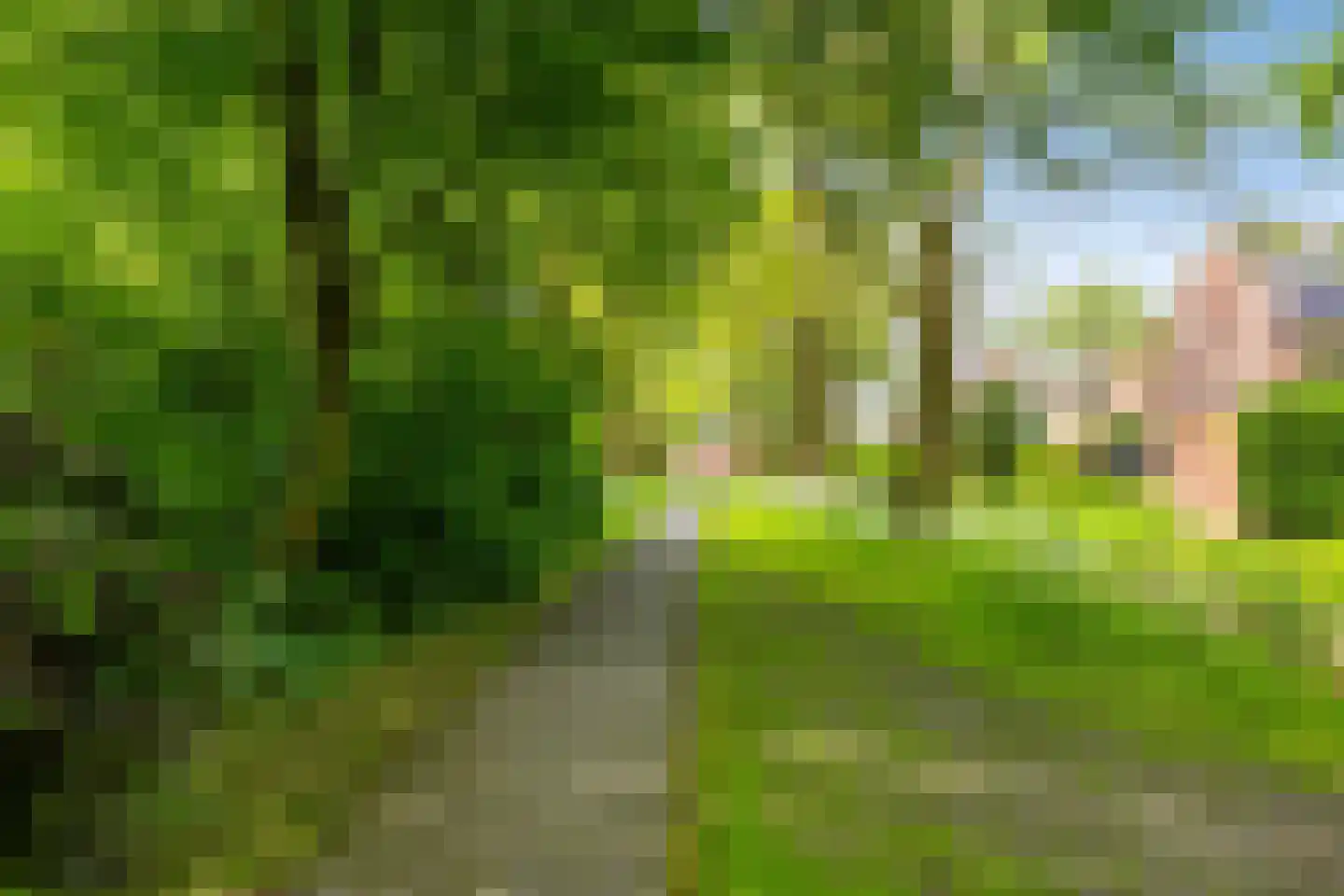 Orchideestraat 38 Groningen thumbnail 33