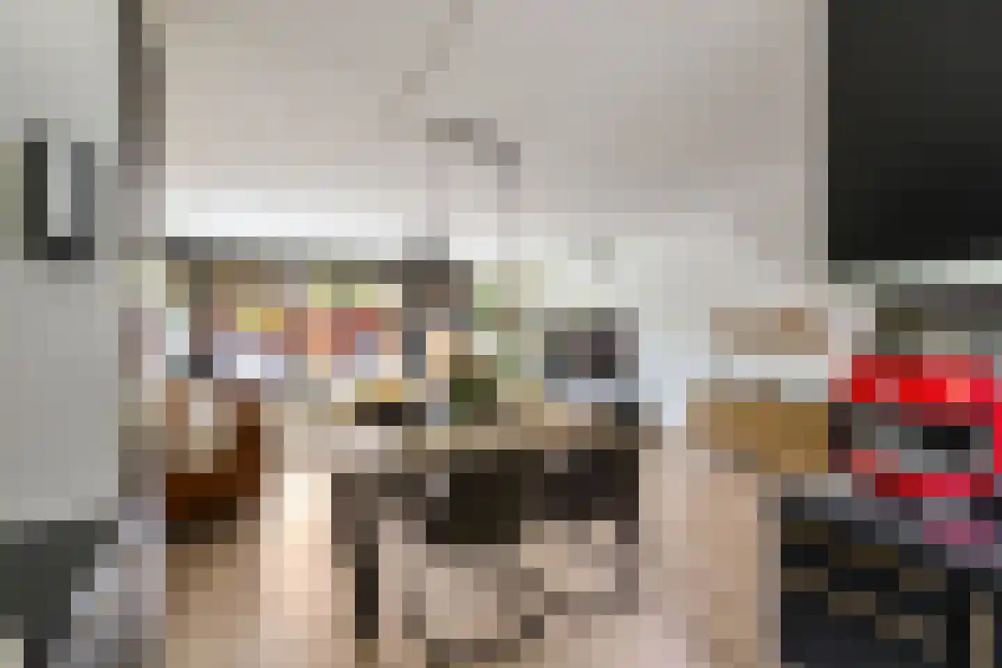 Orchideestraat 38 Groningen thumbnail 8