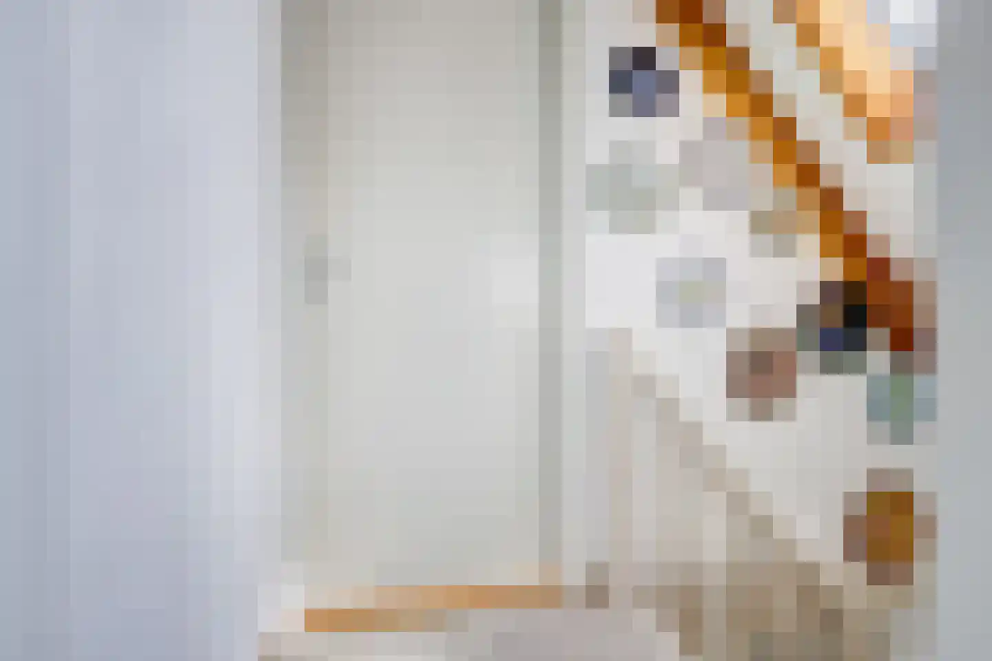 Orchideestraat 4 Putte thumbnail 21
