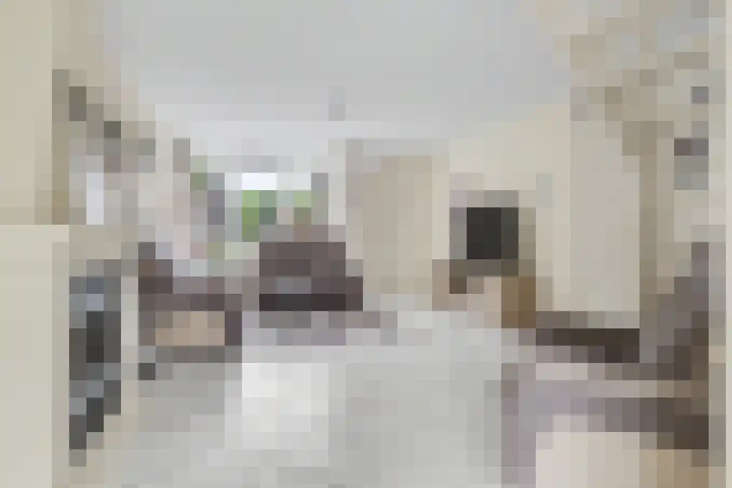 Orchideestraat 4 Putte thumbnail 5