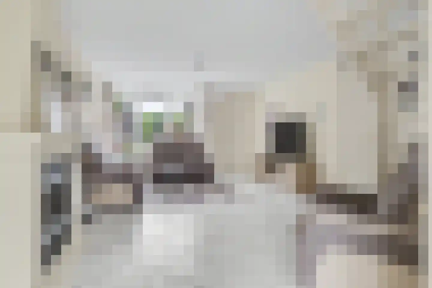 Orchideestraat 4 Putte thumbnail 5
