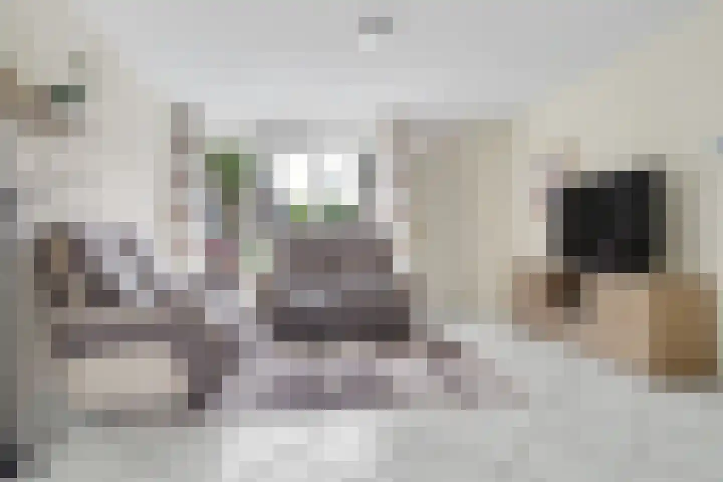 Orchideestraat 4 Putte thumbnail 6