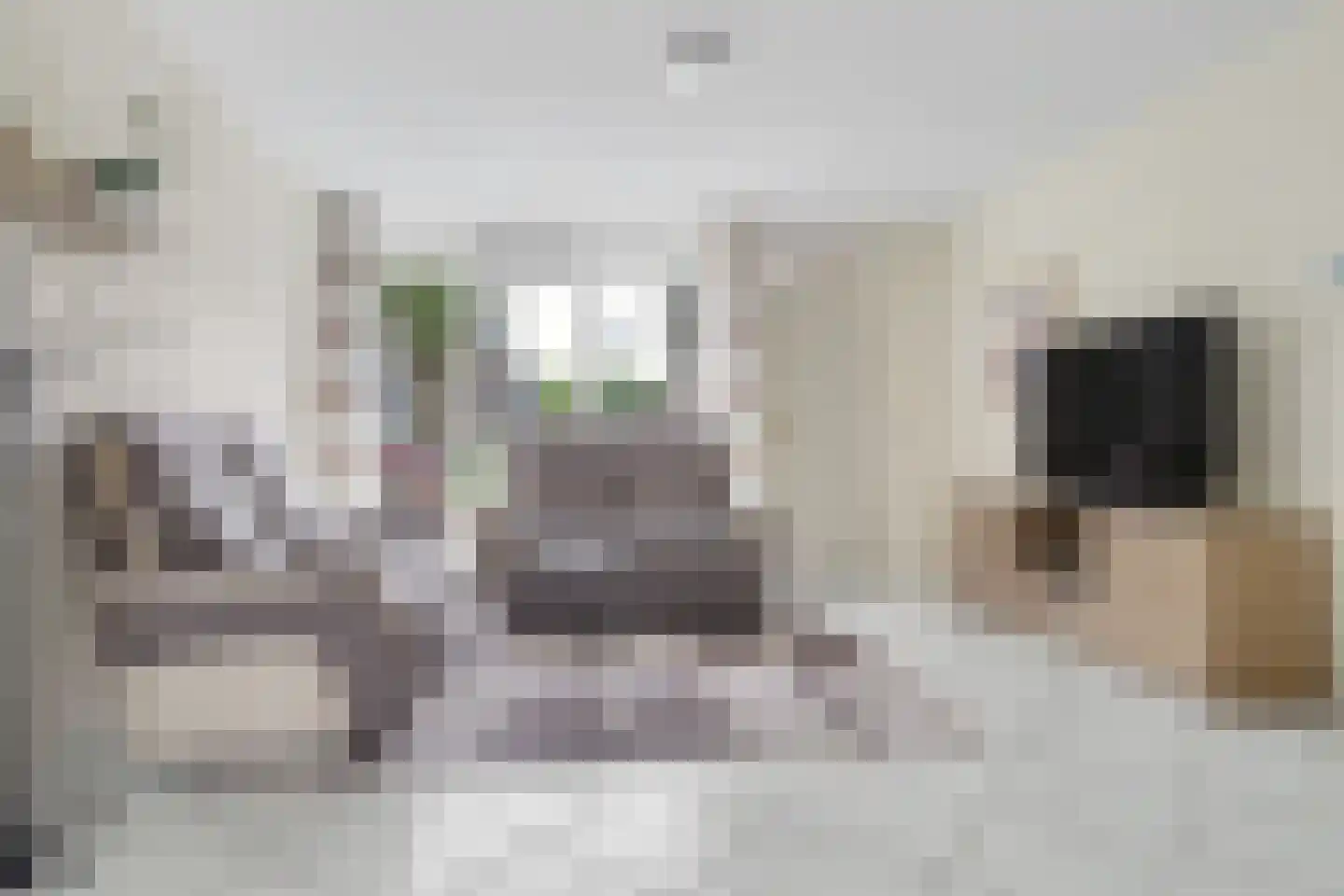 Orchideestraat 4 Putte thumbnail 6