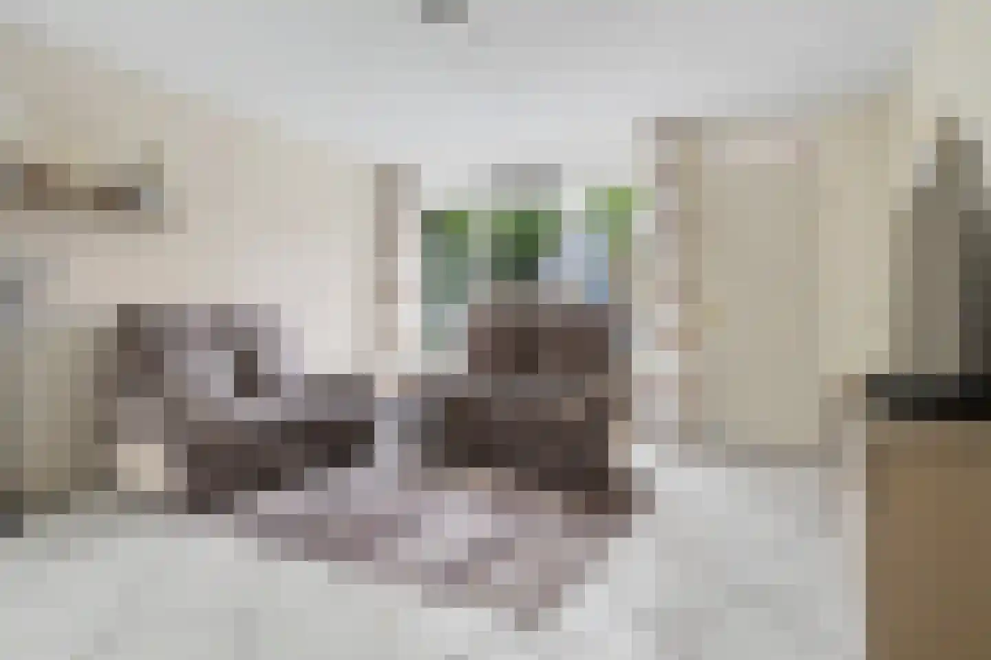 Orchideestraat 4 Putte thumbnail 7