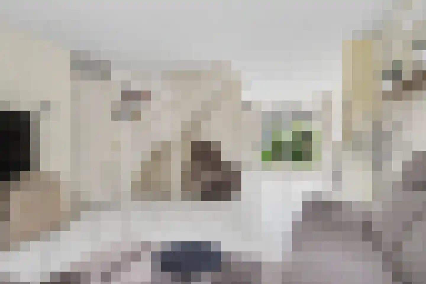Orchideestraat 4 Putte thumbnail 8