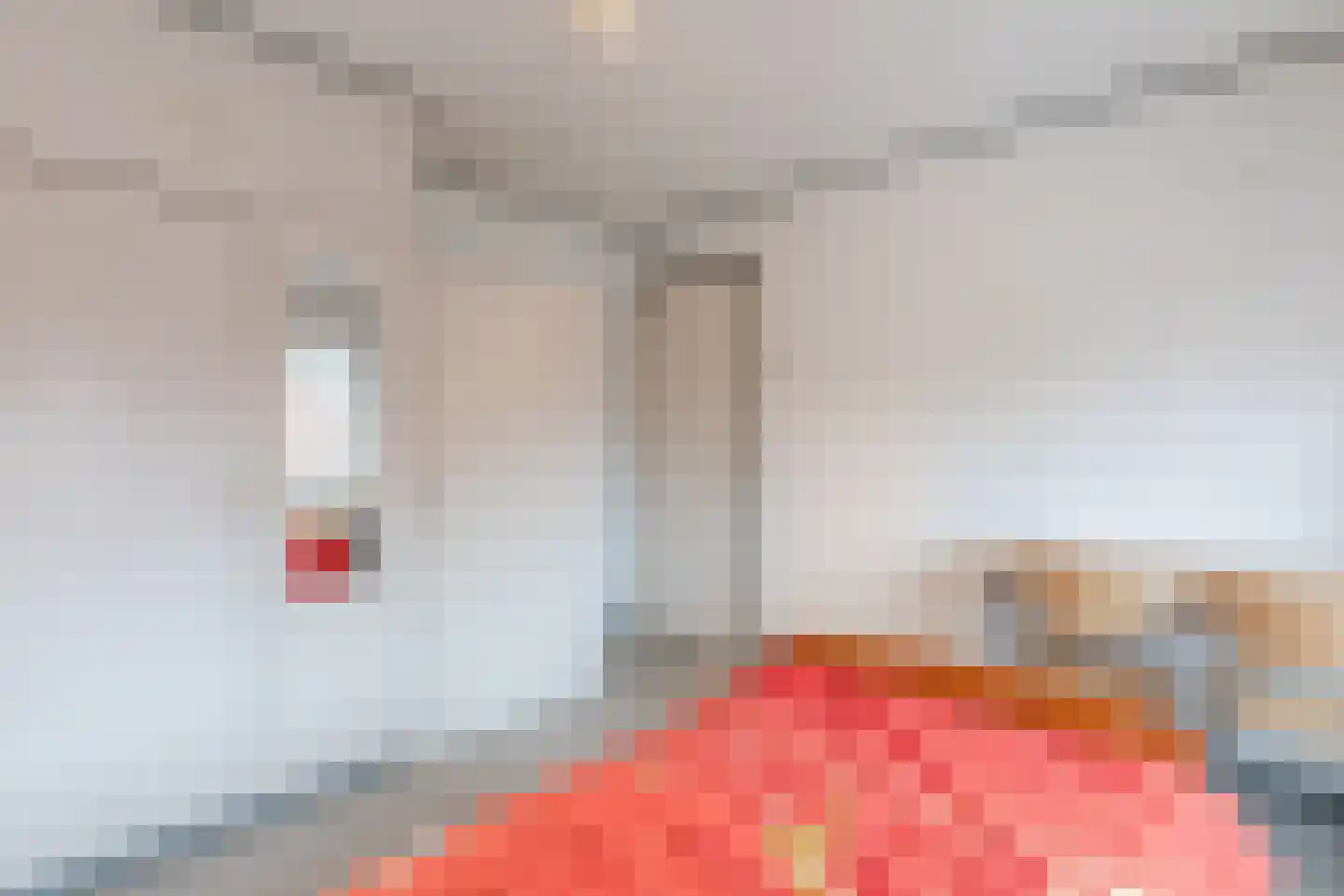 Orchideestraat 4 Uden thumbnail 23