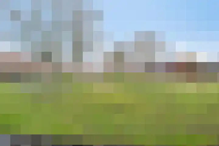 Orchideestraat 4 Uden thumbnail 30
