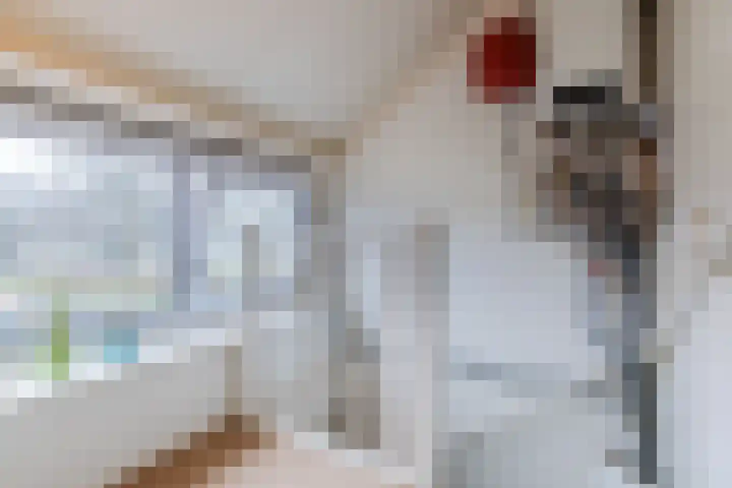 Orchideestraat 4 Uden thumbnail 30