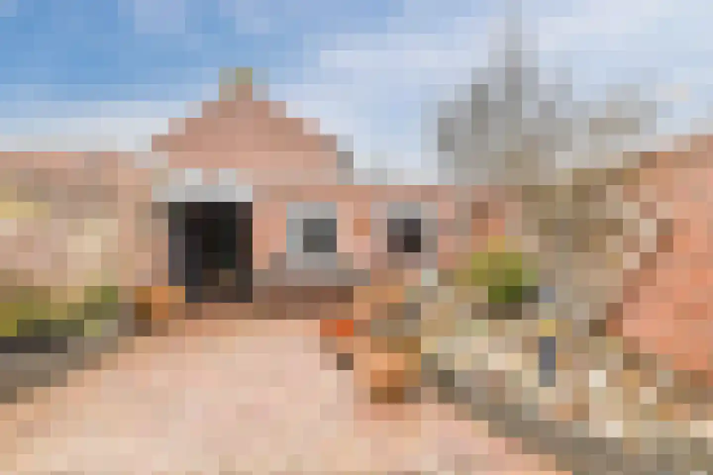 Orchideestraat 4 Uden thumbnail 33