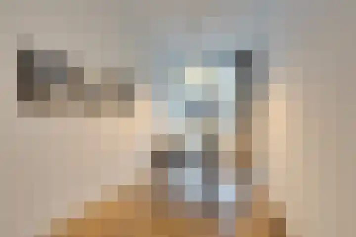 Orchideestraat 4 Uden thumbnail 41