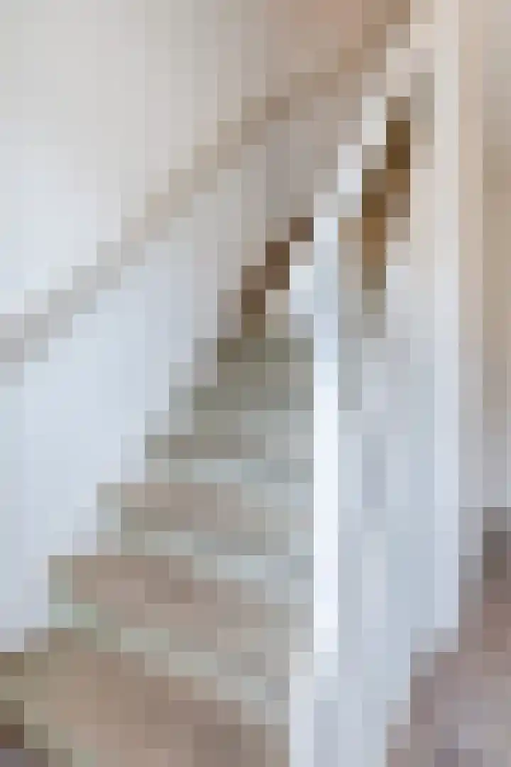 Orchideestraat 4 Uden thumbnail 8