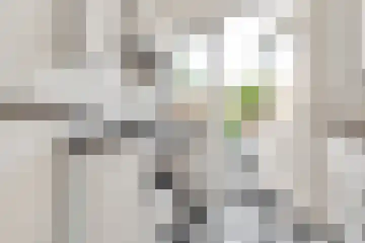 Orchideestraat 41 Hilversum thumbnail 15