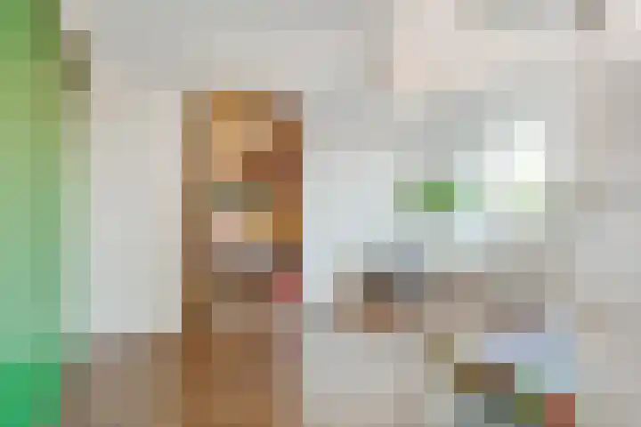 Orchideestraat 41 Hilversum thumbnail 29