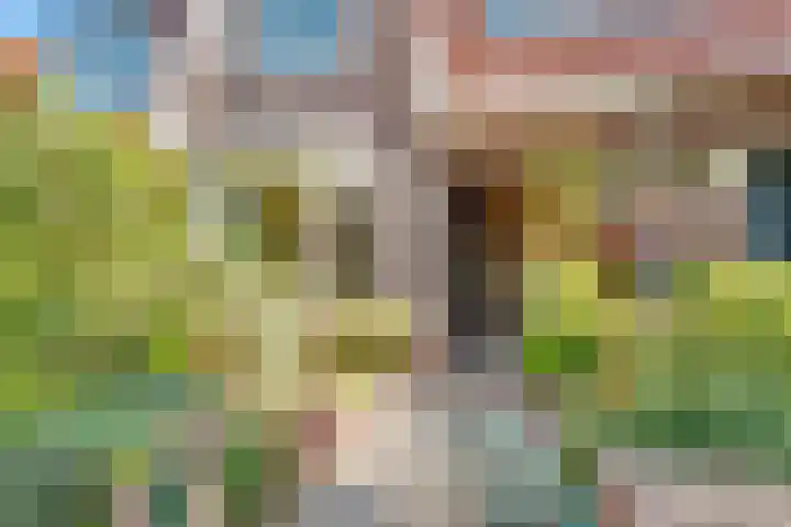 Orchideestraat 41 Hilversum thumbnail 34