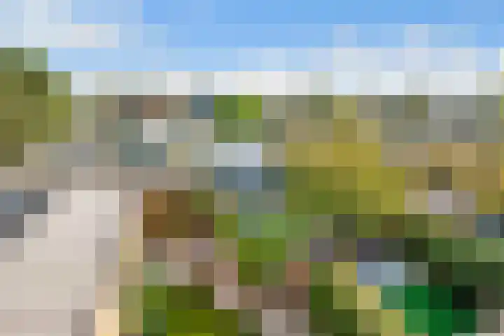 Orchideestraat 41 Hilversum thumbnail 36